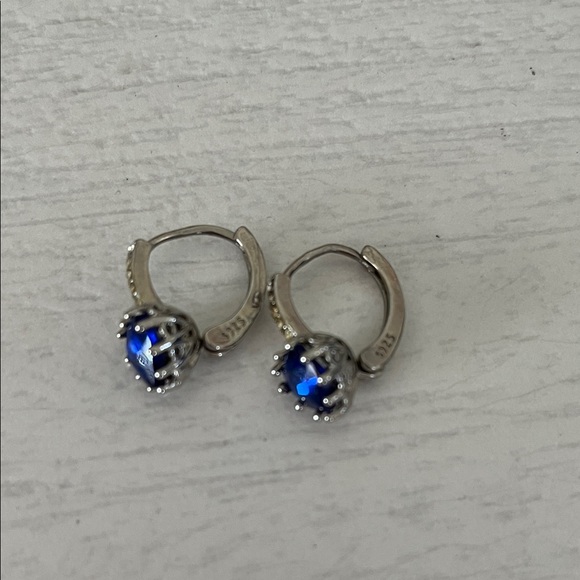 Elegant Silver and Blue Earrings - Picture 1 of 2